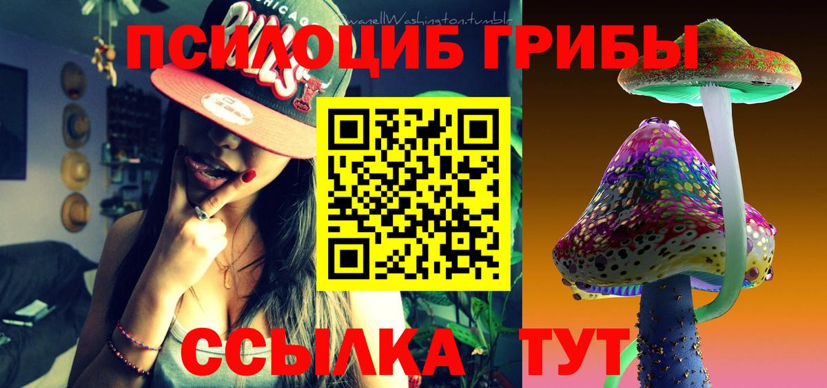 Галлюциногенные грибы Psilocybine cubensis Рославль